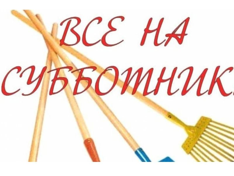 Субботник в д. Лопыдино Субботник в д. Лопыдино.